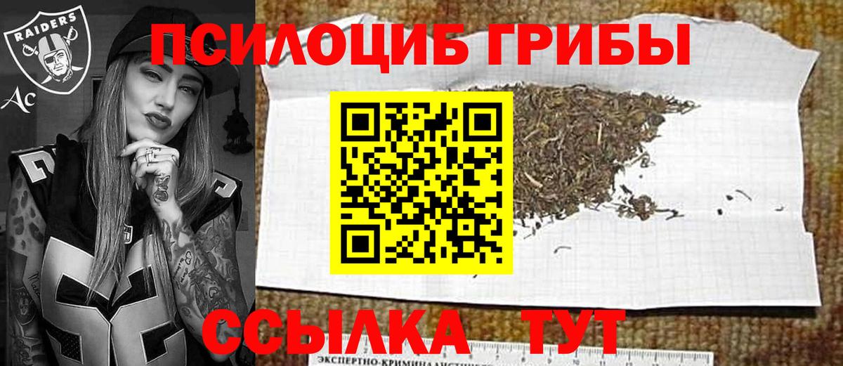 Псилоцибиновые грибы Psilocybe  Вход с VPN  Галлюциногенные грибы мухоморы  Заволжье 